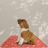 Pet Toilet Mats