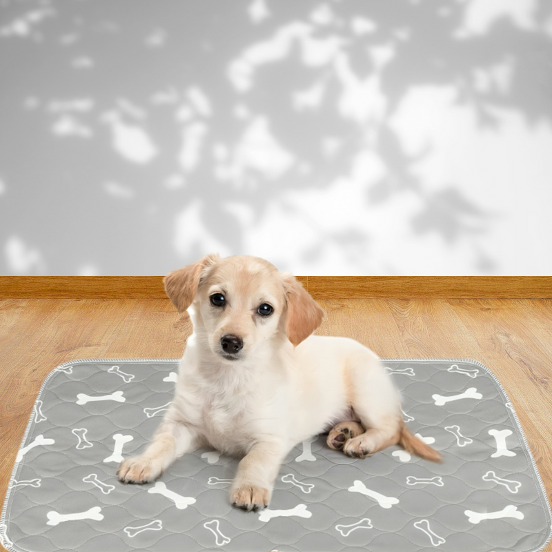 Pet Toilet Mats